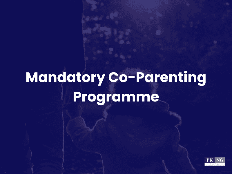 Mandatory Co-Parenting Programme